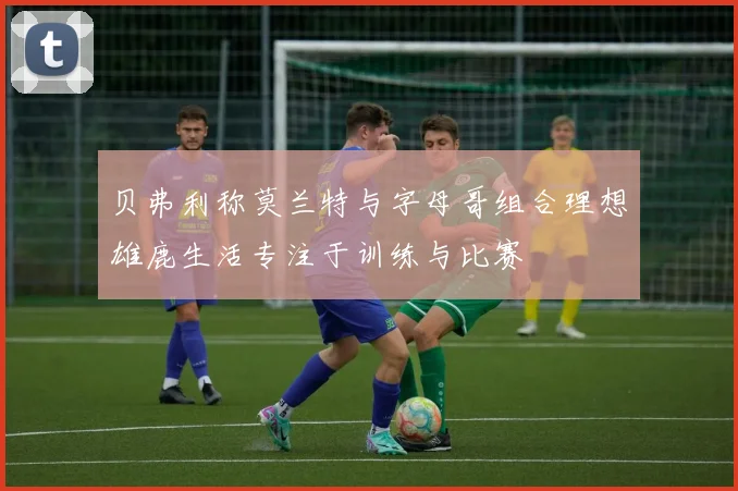 贝弗利称莫兰特与字母哥组合理想雄鹿生活专注于训练与比赛